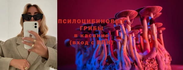 mix Анива