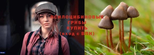 мет Алзамай